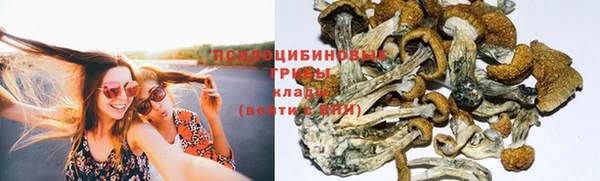 кокс Баксан