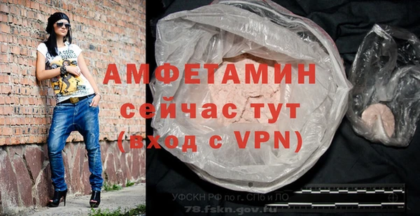 крисы Кулебаки