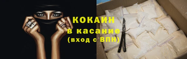 крисы Кулебаки